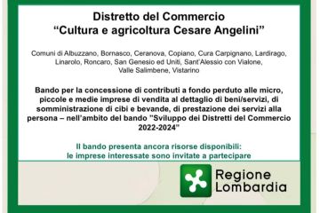 Bando per la concessione di contributi alle imprese "SVILUPPO DEI DISTRETTI DEL COMMERCIO 2022-2024"